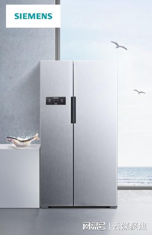 时服务全天候守护食材新鲜与生活品质凯时尊龙人生就是博西门子冰箱24小(图1)