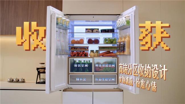 机到治愈系冰箱家电的情感升级凯时尊龙最新网站从懒人洗衣(图1)