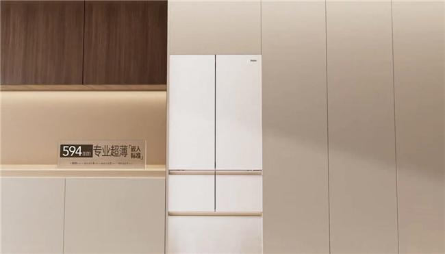 机到治愈系冰箱家电的情感升级凯时尊龙最新网站从懒人洗衣(图2)