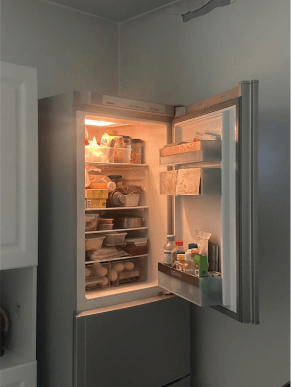 门掌握1个轻松省电几十度尊龙凯时冰箱6个使用窍(图2)