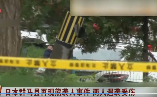 为啥疯狂闯人类聚居区?背后3个原因太吓人人生就是博-尊龙凯时日本熊灾大爆发!黑熊(图9) 为啥疯狂闯人类聚居区?背后3个原因太吓人人生就是博-尊龙凯时日本熊灾大爆发!黑熊(图9)