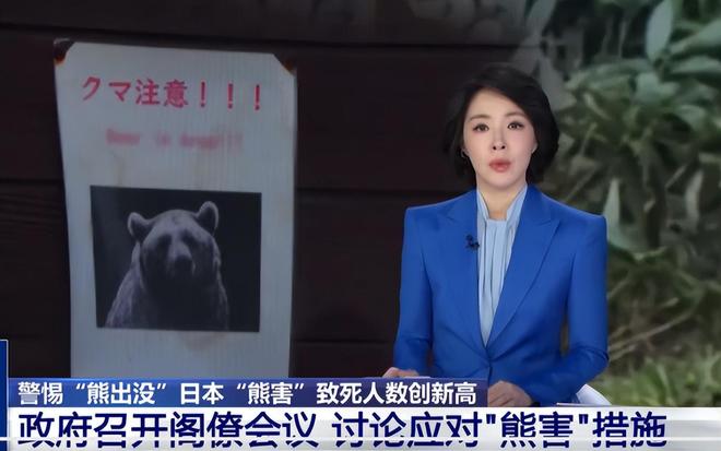 为啥疯狂闯人类聚居区?背后3个原因太吓人人生就是博-尊龙凯时日本熊灾大爆发!黑熊(图7) 为啥疯狂闯人类聚居区?背后3个原因太吓人人生就是博-尊龙凯时日本熊灾大爆发!黑熊(图7)